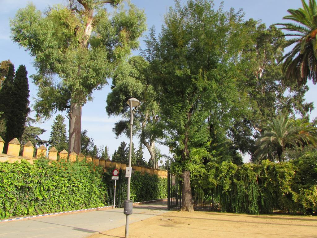 Plaza Alfalfa Centro Sevilha